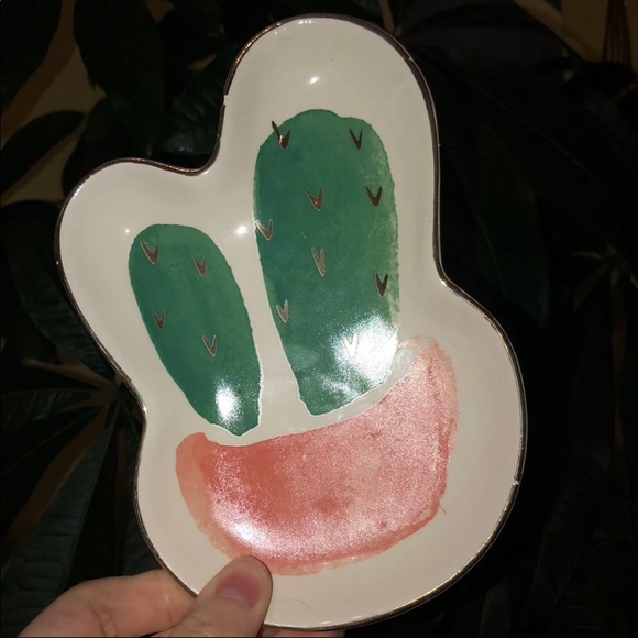 succulent plates - Picture 2 of 4